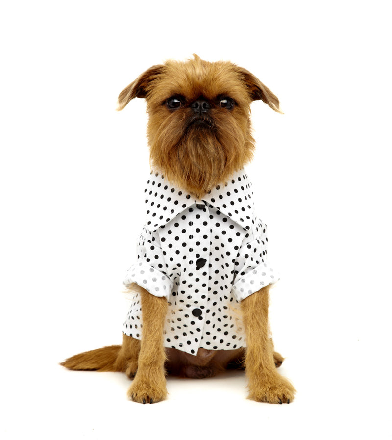 Roupa para Cachorro - Camisa Social Poá Preto