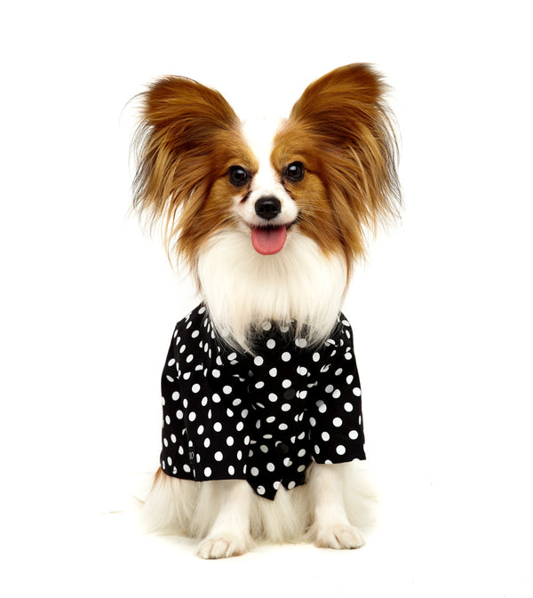 Roupa para cachorro – Marcado camisa pet – MY BOO STORE