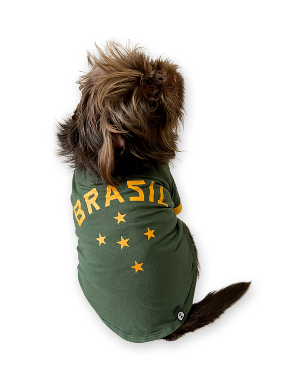 T-shirt do Brasil